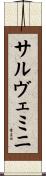 サルヴェミニ Scroll