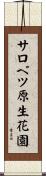 サロベツ原生花園 Scroll