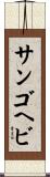 サンゴヘビ Scroll