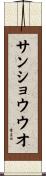 サンショウウオ Scroll