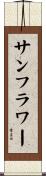 サンフラワー Scroll