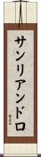 サンリアンドロ Scroll