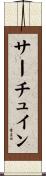サーチュイン Scroll