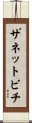 ザネットビチ Scroll