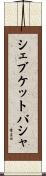 シェブケットパシャ Scroll