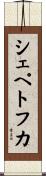 シェペトフカ Scroll