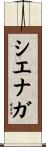 シエナガ Scroll