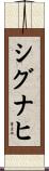 シグナヒ Scroll