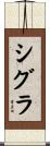 シグラ Scroll