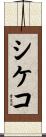 シケコ Scroll