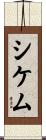 シケム Scroll