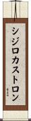 シジロカストロン Scroll