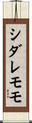 シダレモモ Scroll