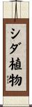 シダ植物 Scroll