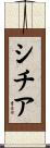 シチア Scroll