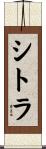 シトラ Scroll
