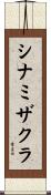 シナミザクラ Scroll