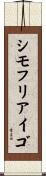 シモフリアイゴ Scroll