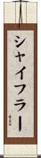 シャイフラー Scroll
