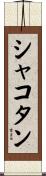 シャコタン Scroll