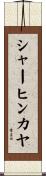 シャーヒンカヤ Scroll