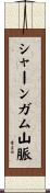 シャーンガム山脈 Scroll