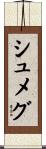 シュメグ Scroll