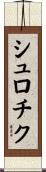 シュロチク Scroll