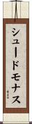 シュードモナス Scroll