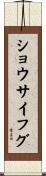 ショウサイフグ Scroll