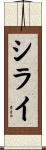 シライ Scroll