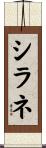 シラネ Scroll
