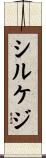 シルケジ Scroll