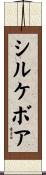 シルケボア Scroll