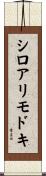 シロアリモドキ Scroll