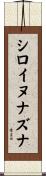 シロイヌナズナ Scroll