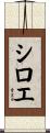 シロエ Scroll
