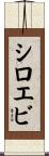 シロエビ Scroll