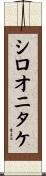 シロオニタケ Scroll