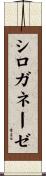 シロガネーゼ Scroll