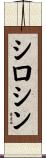 シロシン Scroll