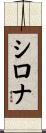 Shirona Scroll