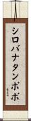 シロバナタンポポ Scroll