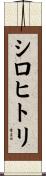 シロヒトリ Scroll