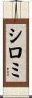 シロミ Scroll