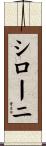 シローニ Scroll