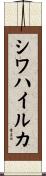 シワハイルカ Scroll
