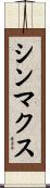 シンマクス Scroll