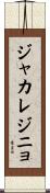 ジャカレジニョ Scroll