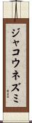 ジャコウネズミ Scroll